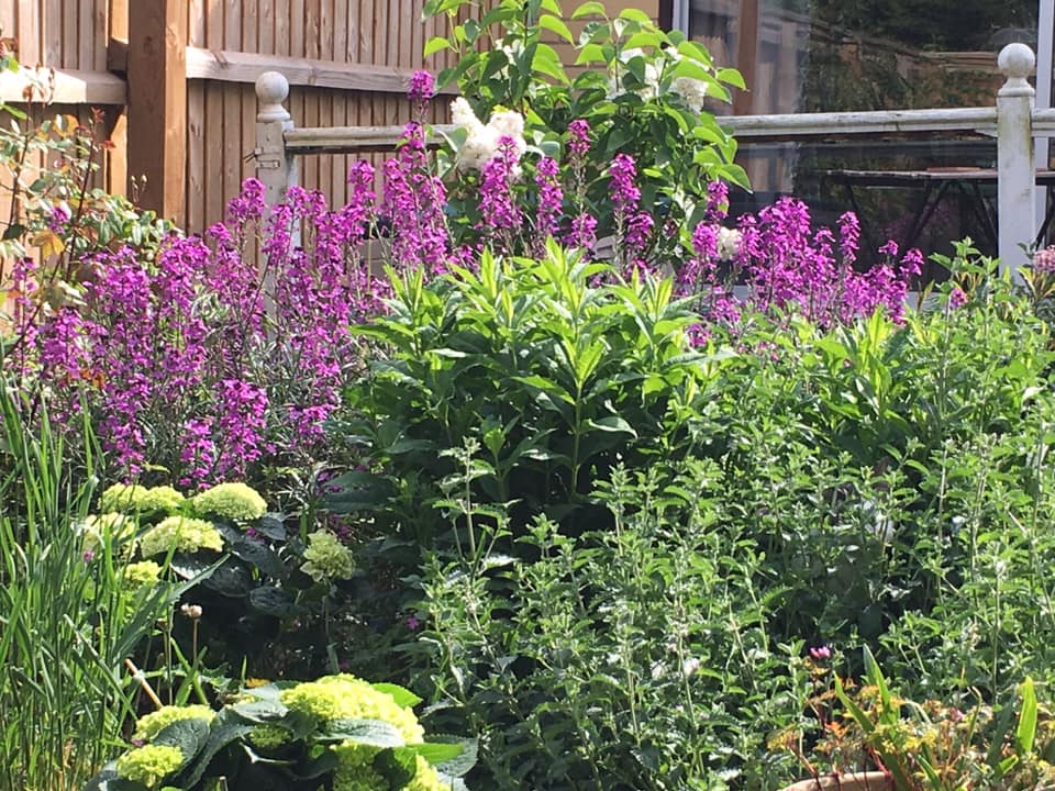 perennial garden layers and textures